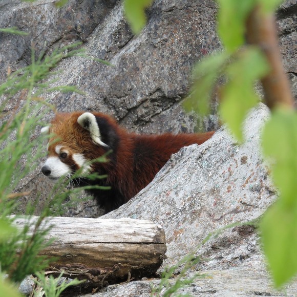 Meet your Posher, Eisle - Picture 1 of 1